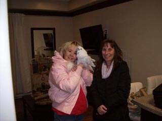 Pet Friendly Parrots